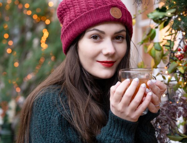 Recette facile Jus de pomme chaud pour Noel