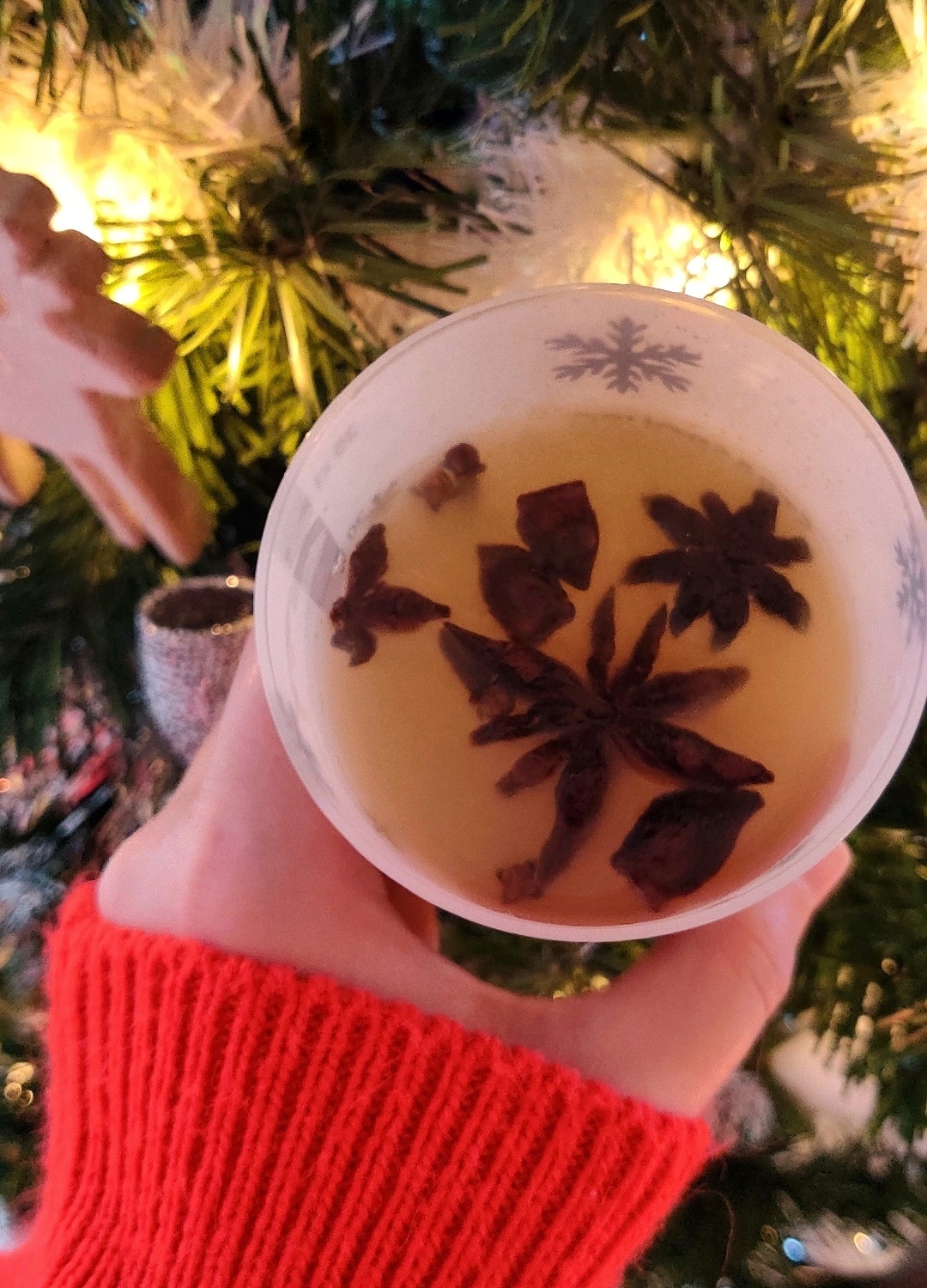 Recette jus de pomme chaud facile à faire noel