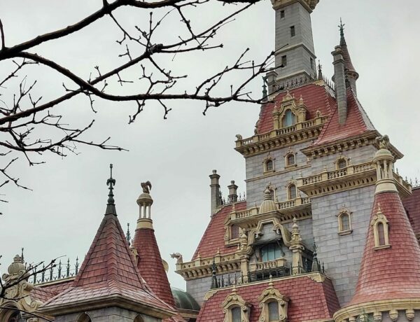 Séjour Tokyo Disneyland conseils